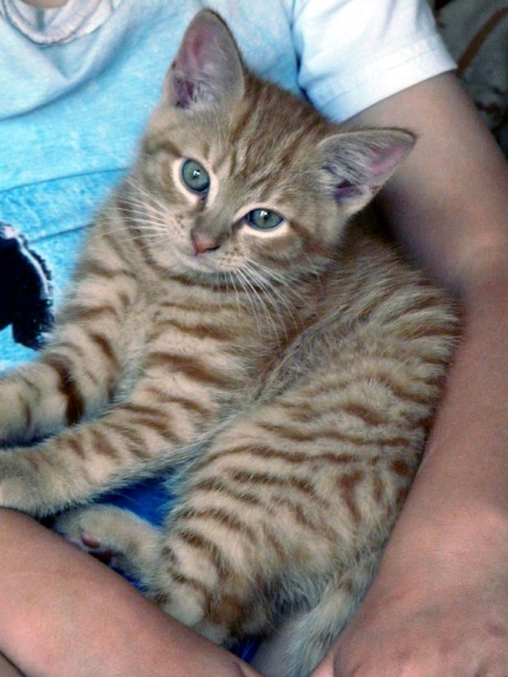 His Master's Arms!